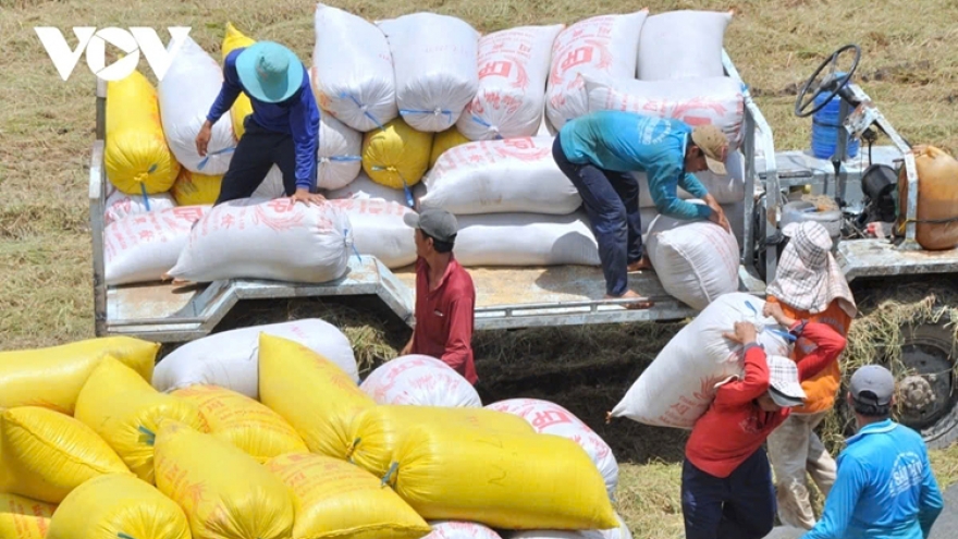 Vietnam controls rice production amidst global rice market fluctuations